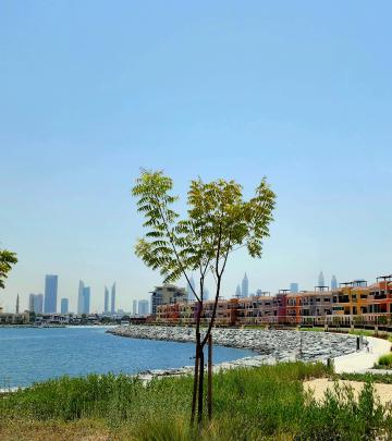 Sur La Mer is right at the Sea