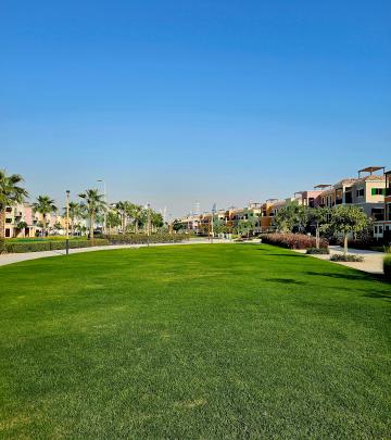 Sur La Mer Dubai 24