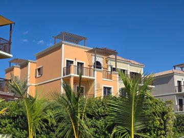 Lush green in Sur La Mer